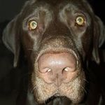 Brian Ladere - @brianladere - Instagram
