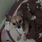 Brian LaFond - @lafondbrian324lafondbrian324 - Instagram