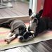 Brian Lakin - Facebook