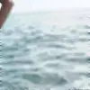 lovexfan.com/ray - @brianlakin741 - TikTok