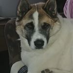 Brian Landers - @brianlanders29 - Instagram