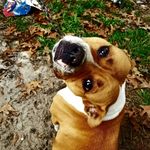 brian Landon wright - @brian.landon0924 - Instagram