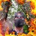 Brian Landrum - Facebook