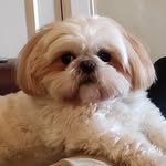 Brian Langan - @langan1888 - Instagram
