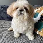 Brian Langan - @blangoesposito - Instagram