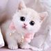 Brian Langat - Facebook