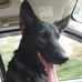 Brian Langston - Facebook