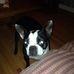 Brian Langston - Facebook