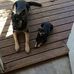 Brian Lantz - Facebook