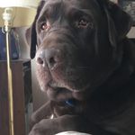 Brian Larochelle - @larochellebrian40 - Instagram