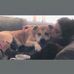 Brianna Larochelle - Facebook