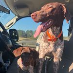 Brian LaRose - @designbuildms - Instagram