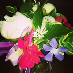Brian Larose - @yogareallythink - Instagram