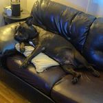 Brian Latimer - @blatimer88 - Instagram