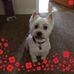 Brian Latimer - Facebook