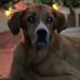 Brian Latimer - Facebook
