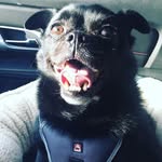 Brian Lauer - @brian.lauer.75 - Instagram