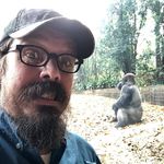 Brian Laughlin - @locklin - Instagram