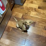 Brian LaVigne - @garysautomotive2024 - Instagram