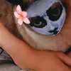 Brian Lavigne - @brianlavigne414 - TikTok