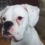 Brian Layman - @mathewmtl123 - Instagram