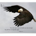 Brian Layne - @theamericanevangelist - Instagram