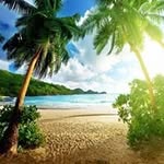 Brian Feist - @brianleaffan - Instagram