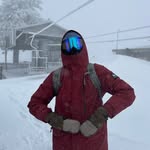 Brian Leaf - @brianleaf29 - Instagram