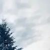brianleafer - @brianleafer - TikTok