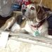 Brian Lear - Facebook