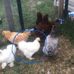 Brian Lear - Facebook