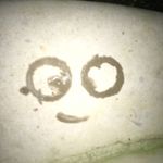 Brian LeBleu - @ragley604 - Instagram