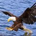 Brian Lebrun - Facebook