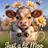 Brianne Lechliter - @briannelechliter - TikTok