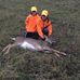 Bryan Lechner - Facebook