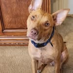 Brian Ledbetter - @brian_ledbetter_ - Instagram