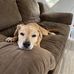 Brian Lederman - Facebook
