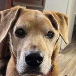 Brian Lederman - @lederman.brian - Instagram