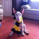 Brian Leech - @bleech1875 - Instagram