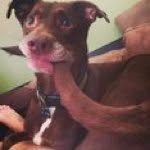 Brian Leeds - @leedsbrian - Instagram