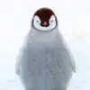 BrianLeeD0Y - @brianleed0y - TikTok