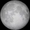 brian - @brian.leer - TikTok