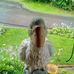 Brian Leff - Facebook