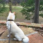 Brian Leffel - @brian_simba - Instagram