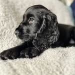 Brian Legg - @oldleggey - Instagram