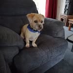 Brian Legg - @legg434 - Instagram