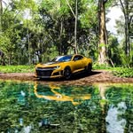 Brian Leininger - @leininger475 - Instagram