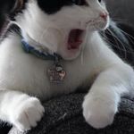 Brian Leitch - @leitch58 - Instagram