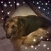 Brian Lenoir - Facebook