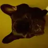 Brian Lenoir - @brianlenoir - TikTok